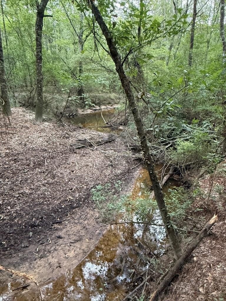 60 acres in Texas County - photo 26