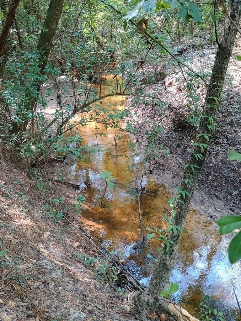 PART 1 of TR 76 County Road 441