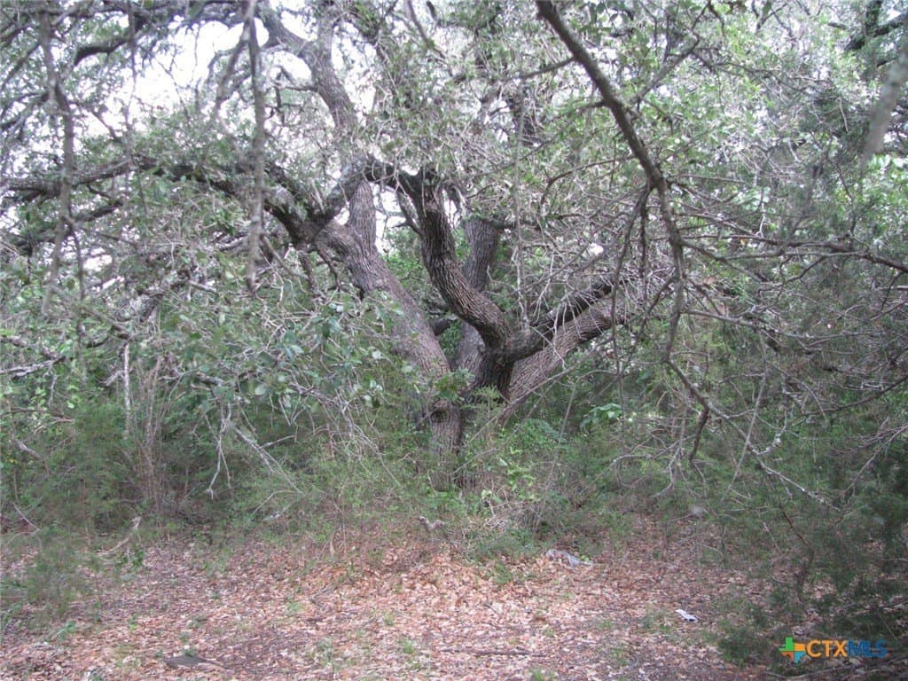 0.4 acres in Coryell County - photo 14