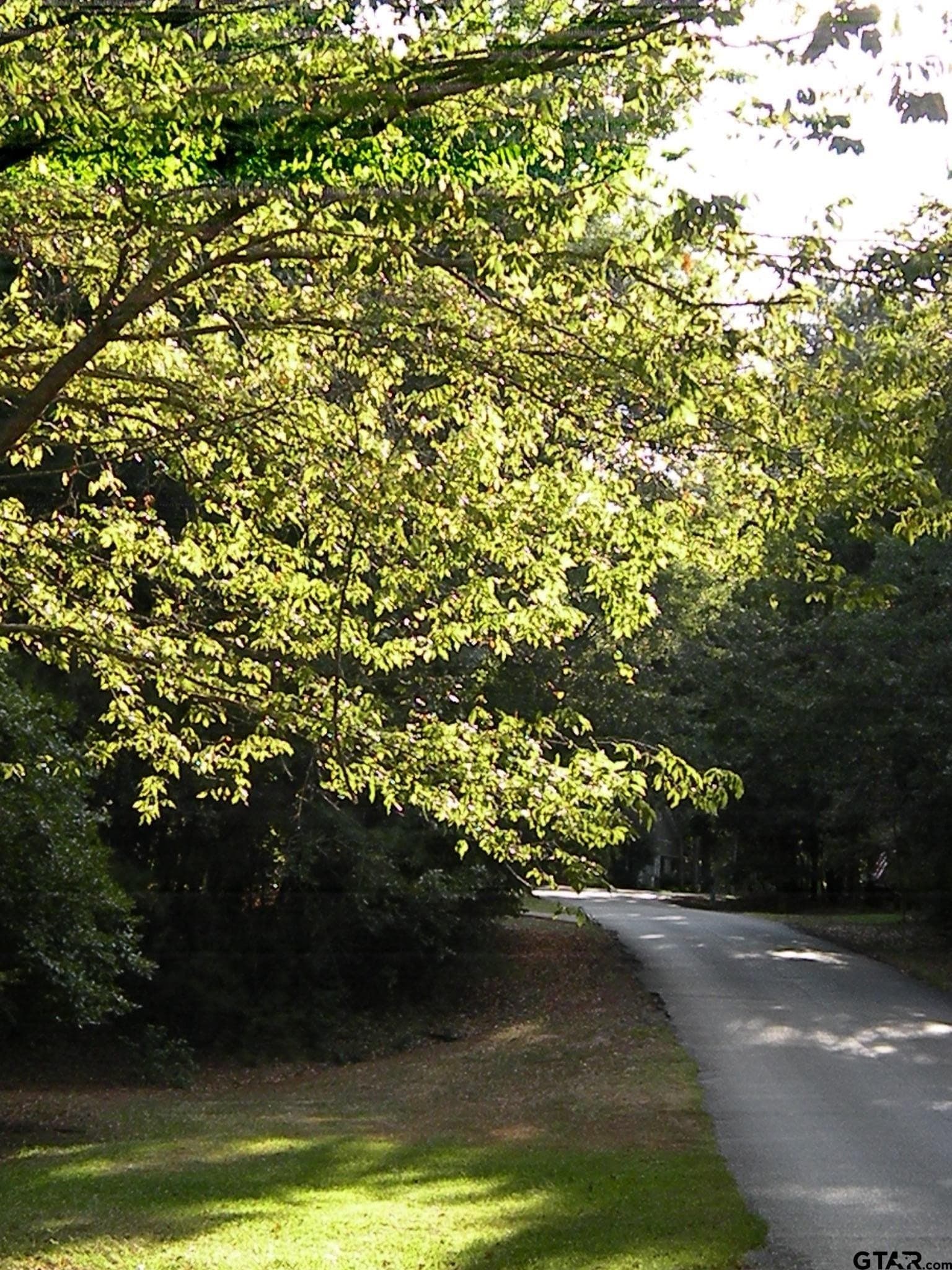 0.38 acres in Wood County - photo 30