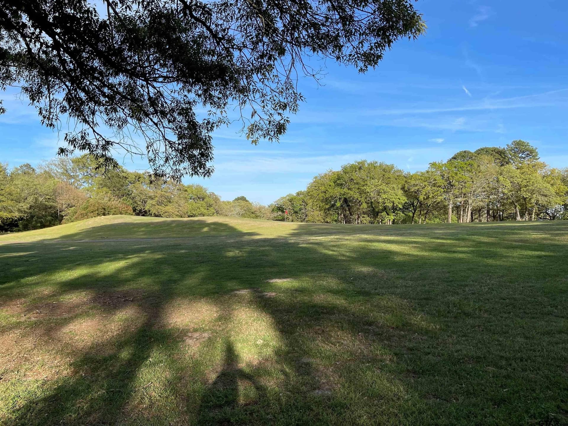 0.38 acres in Wood County - photo 26