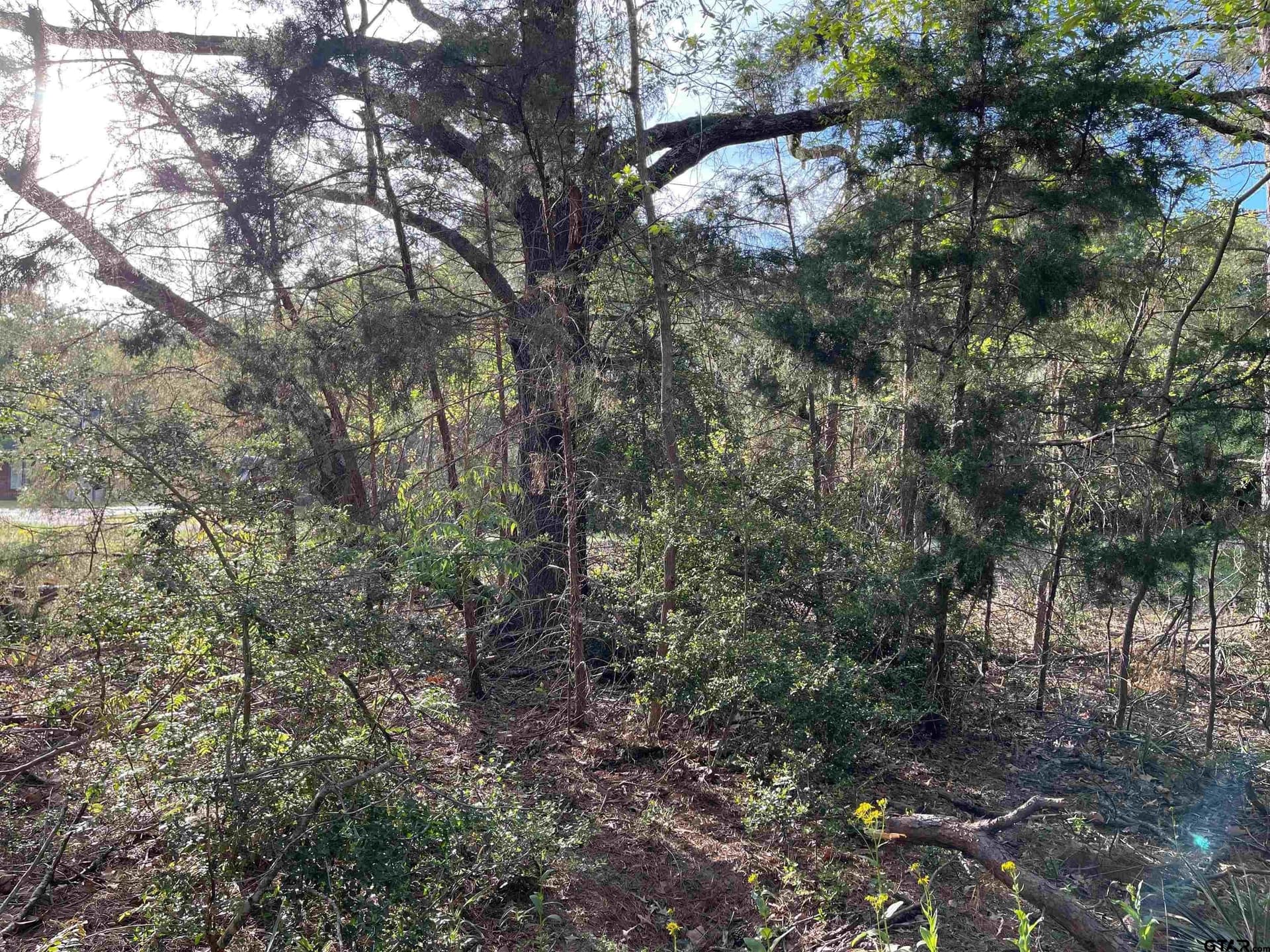 0.38 acres in Wood County - photo 7