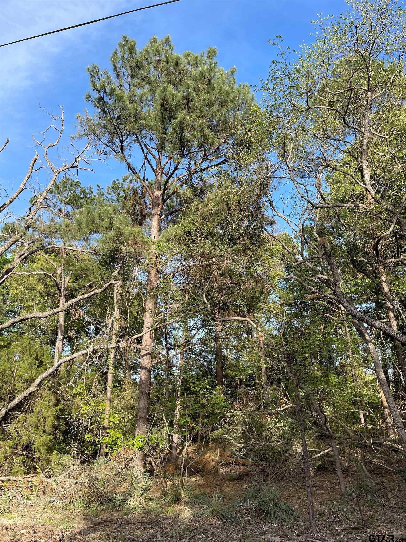 0.38 acres in Wood County - photo 17