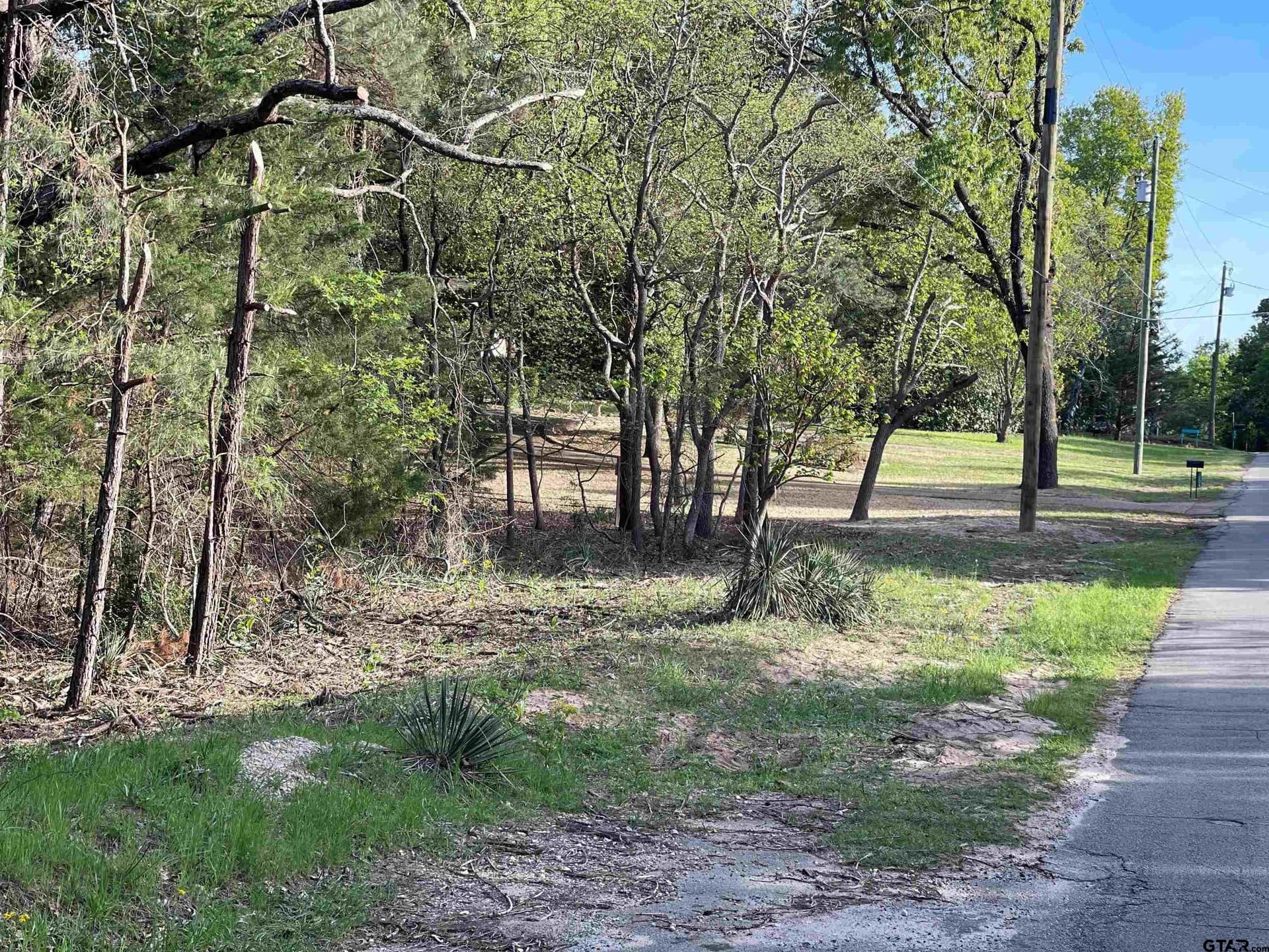 0.38 acres in Wood County - photo 4