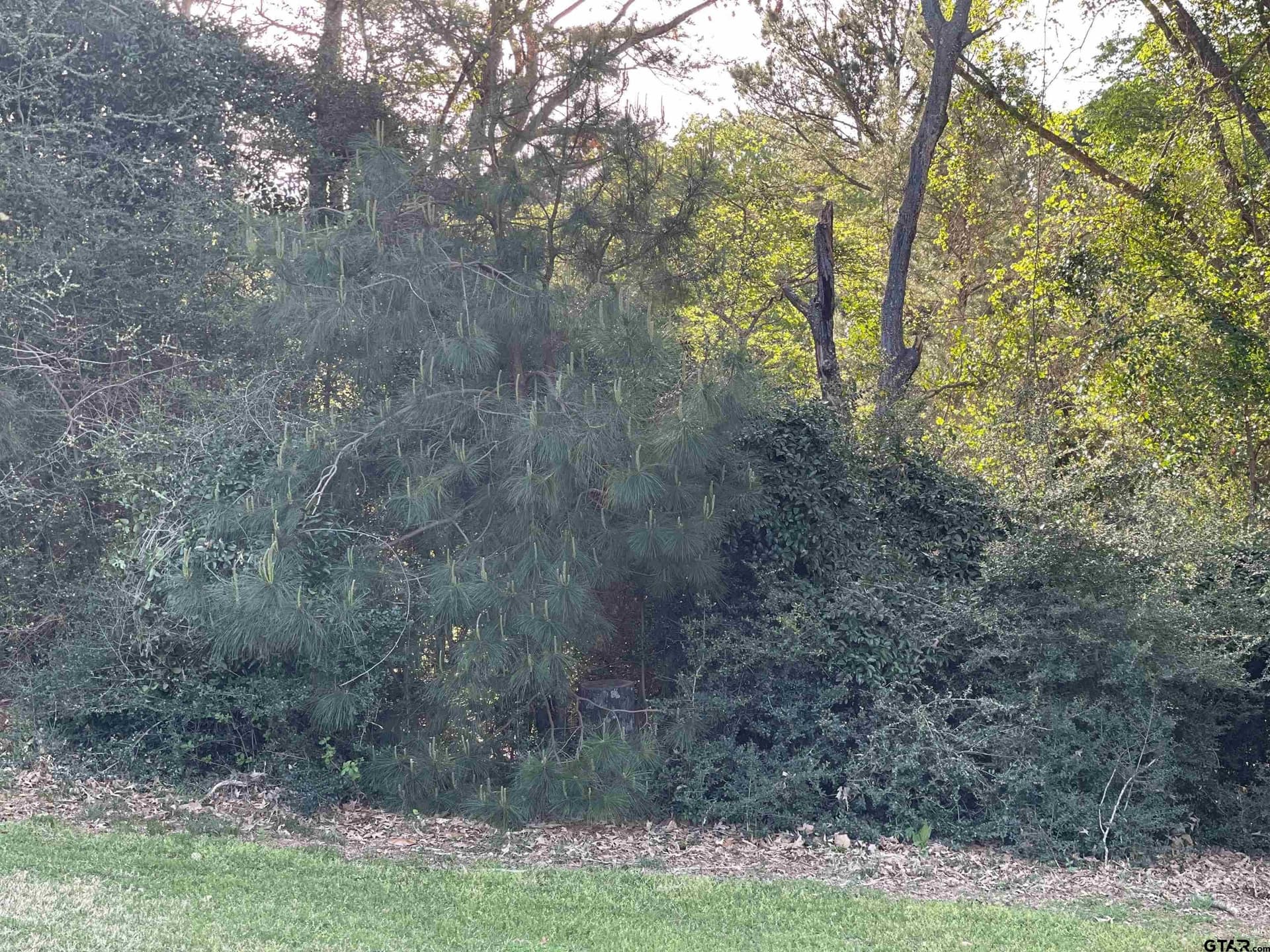 0.38 acres in Wood County - photo 13