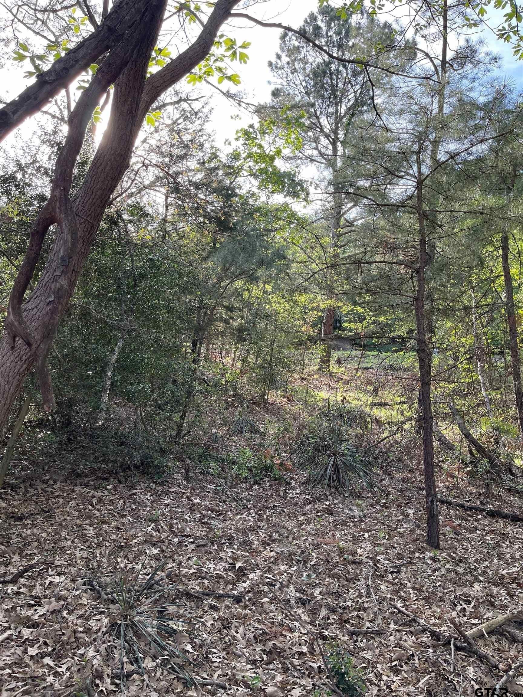 0.38 acres in Wood County - photo 14