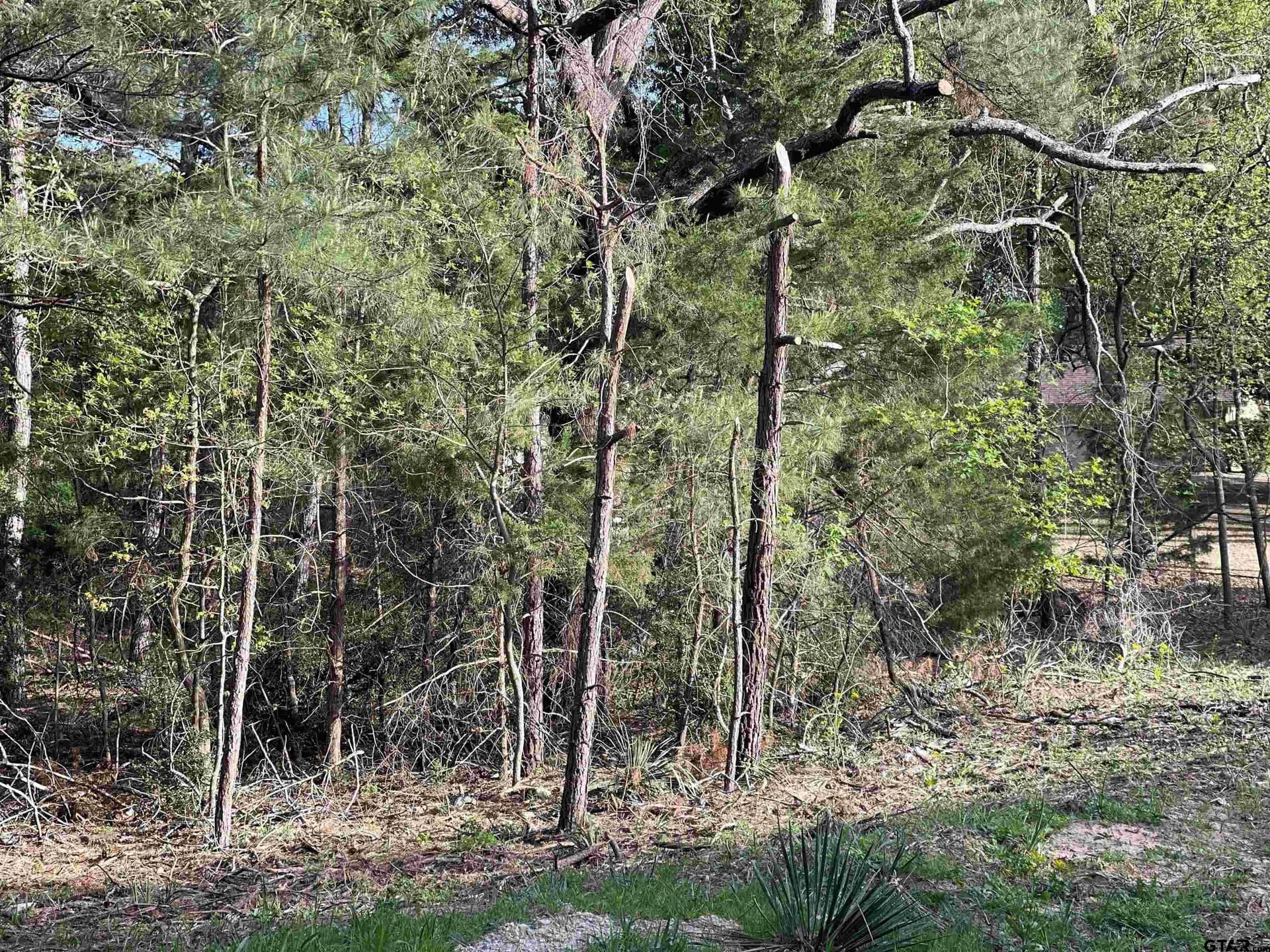 0.38 acres in Wood County - photo 9
