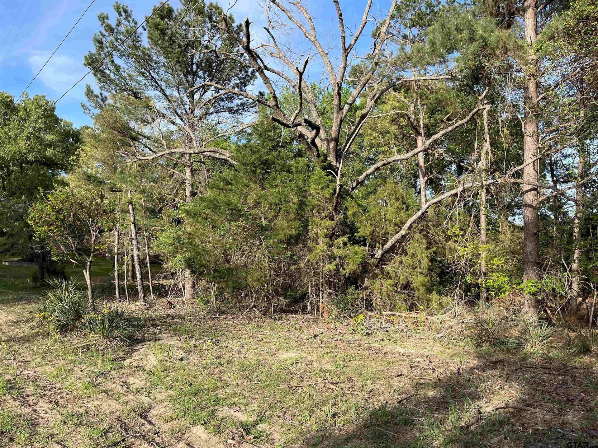 0.38 acres in Wood County - photo 10