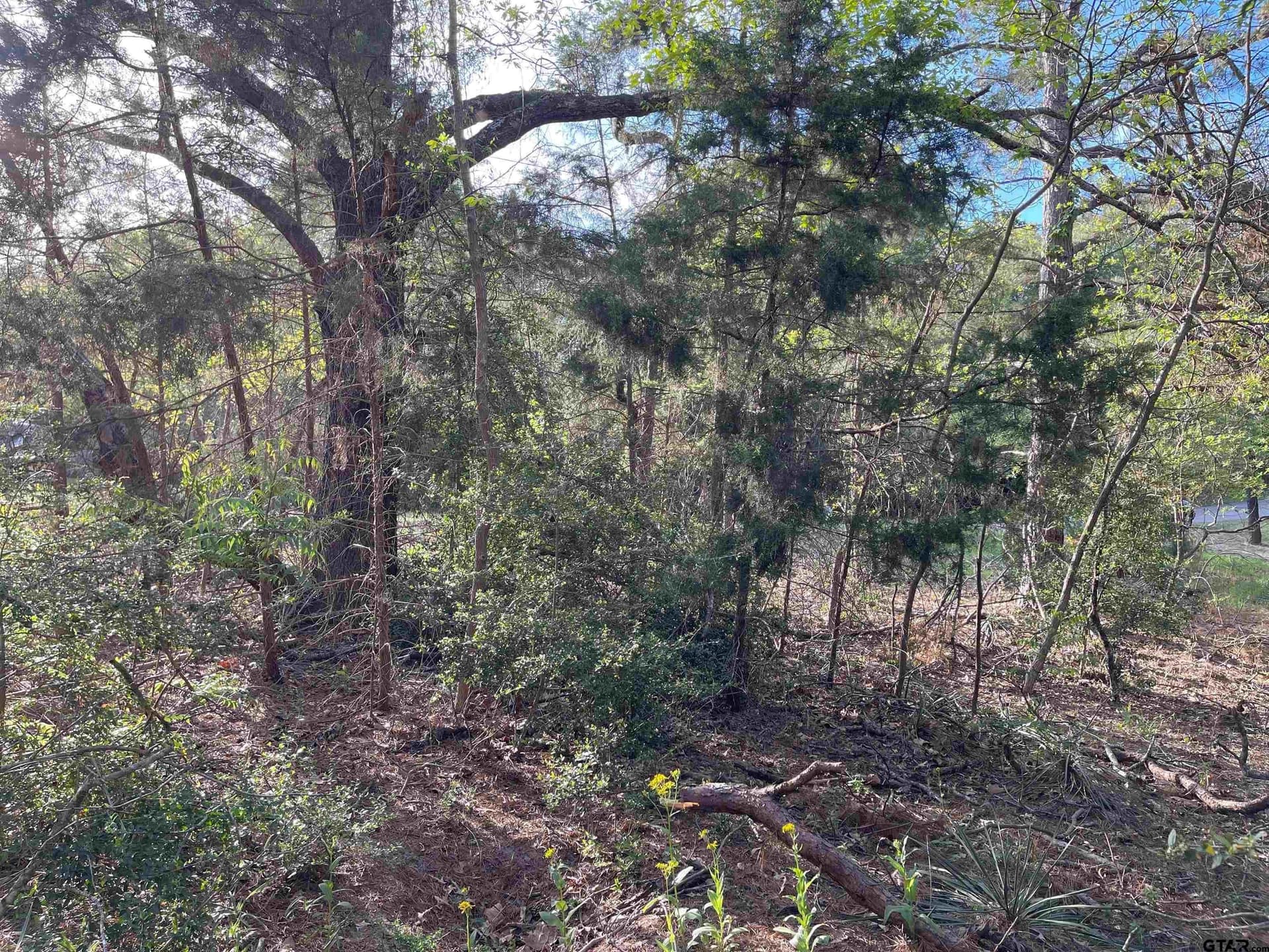 0.38 acres in Wood County - photo 11