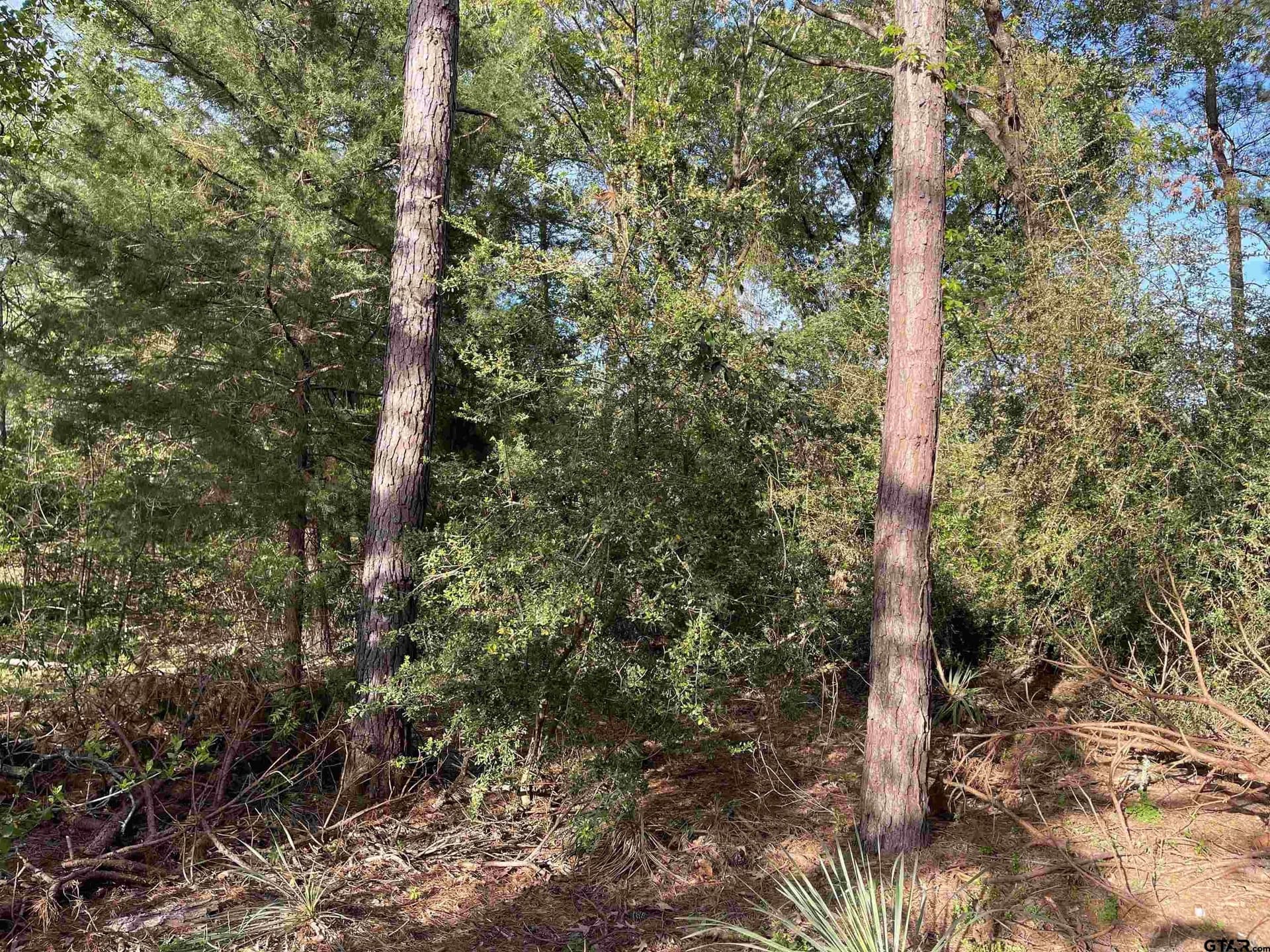 0.38 acres in Wood County - photo 12