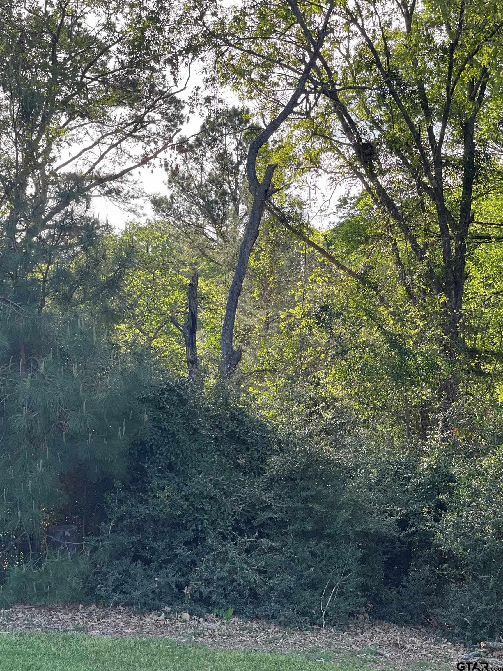 0.38 acres in Wood County - photo 16