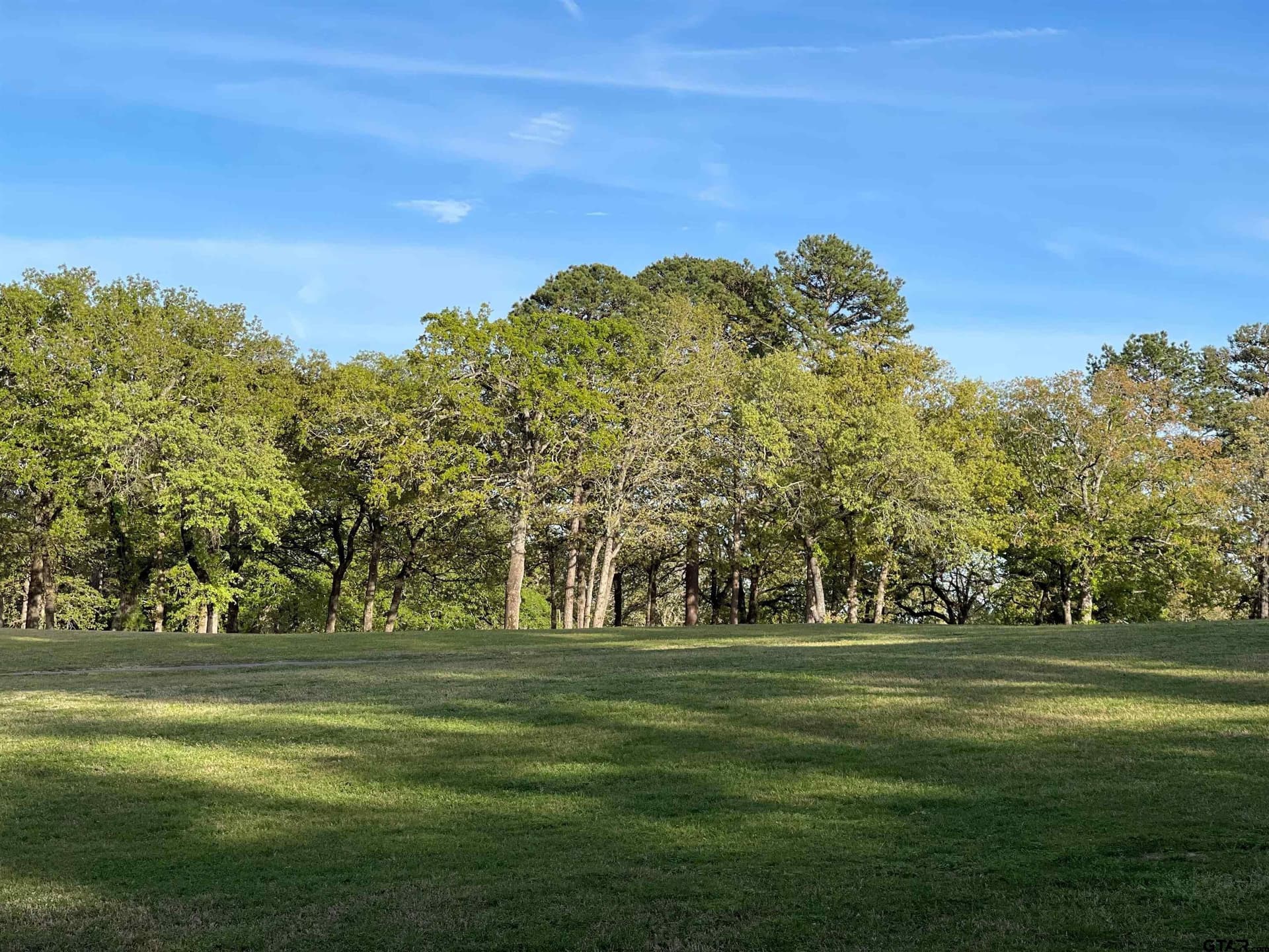 0.38 acres in Wood County - photo 22