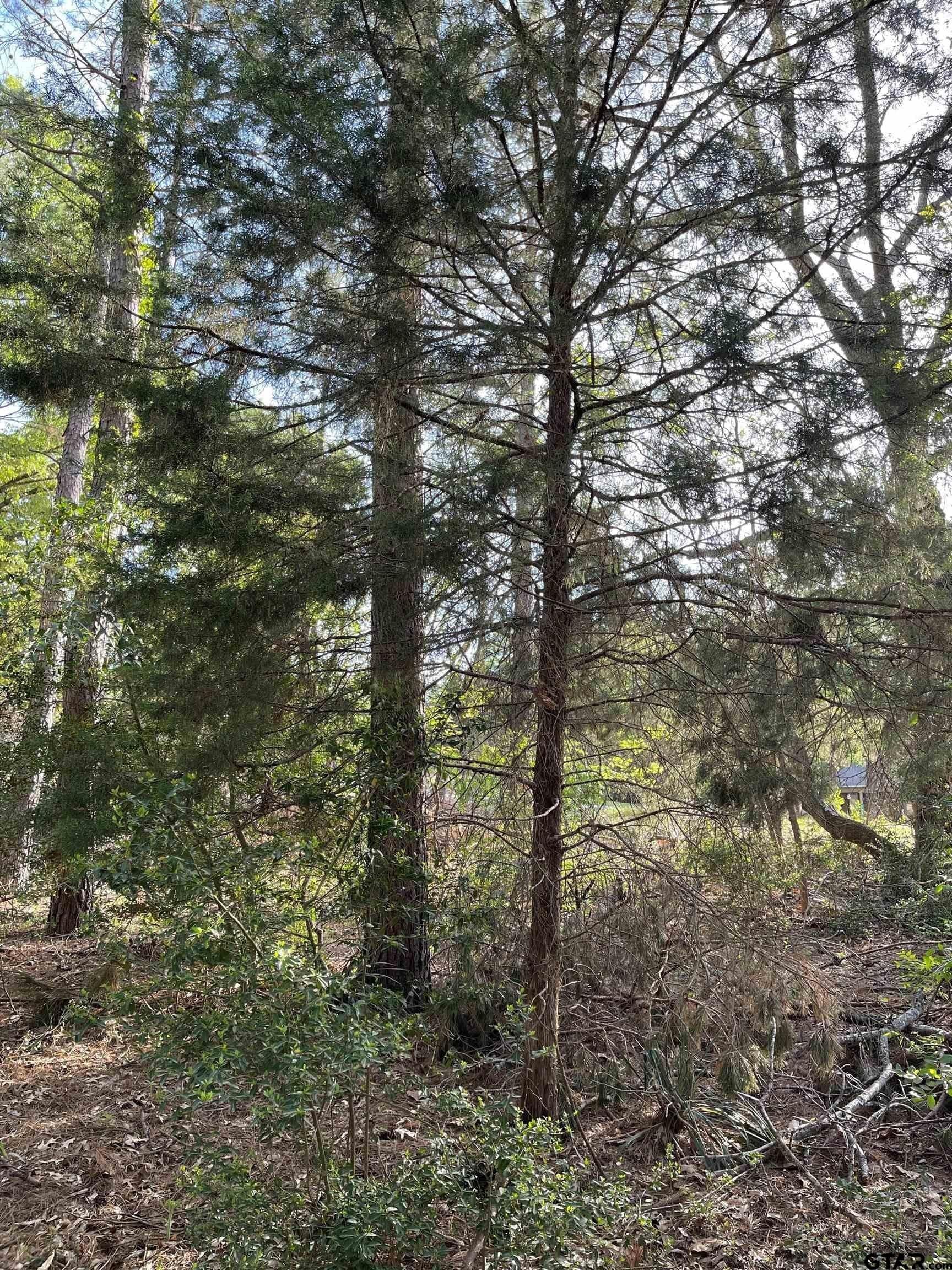 0.38 acres in Wood County - photo 15