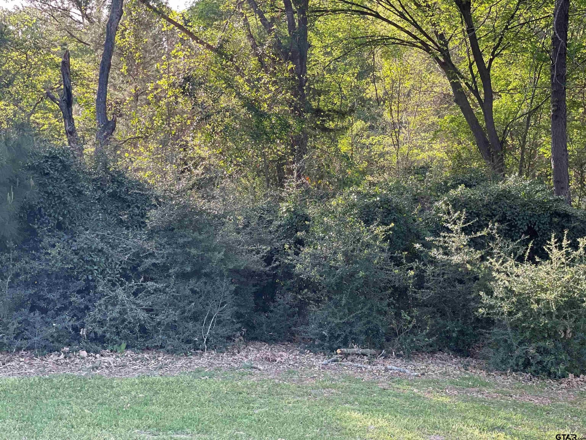 0.38 acres in Wood County - photo 5