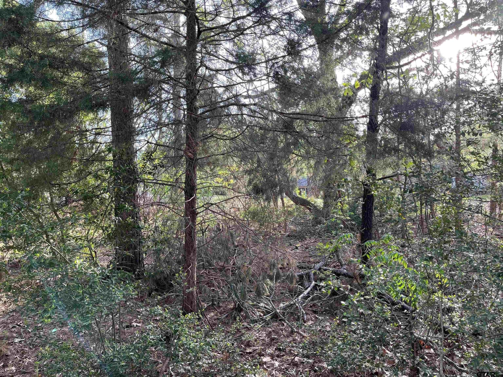 0.38 acres in Wood County - photo 8