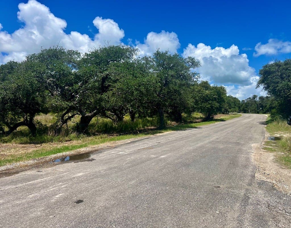 24 acres in Texas County - photo 14