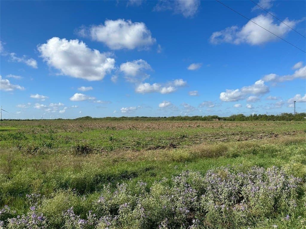 40 acres in San Patricio County - photo 5