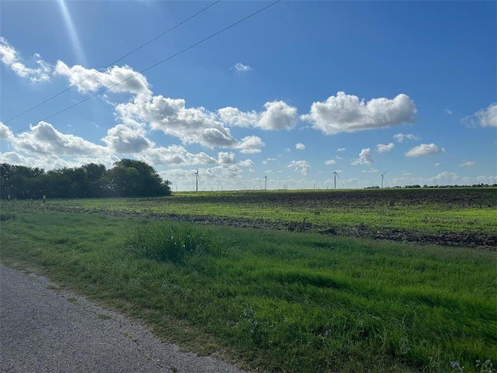 40 acres in San Patricio County - photo 4