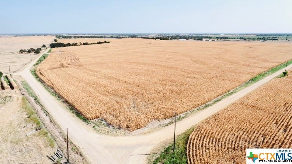 5 acres in Milam County - photo 18