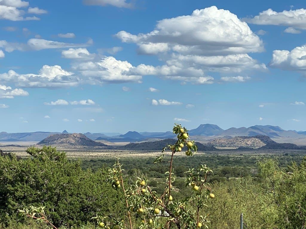 20 acres in Jeff Davis County - photo 23