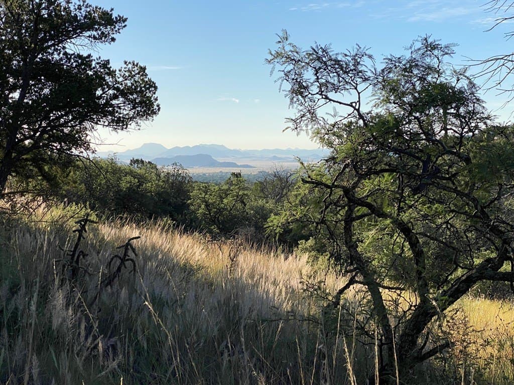 20 acres in Jeff Davis County - photo 2