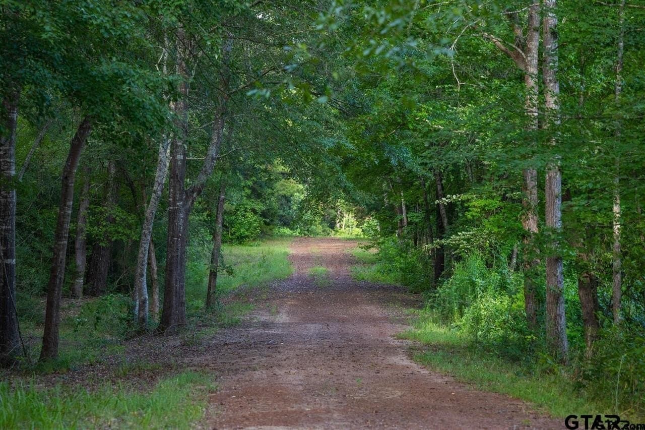 52.58 acres in Wood County - photo 32
