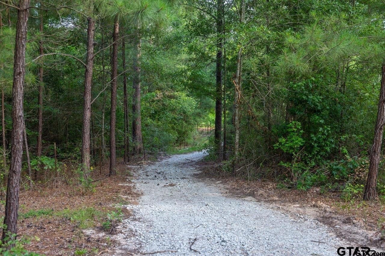 52.58 acres in Wood County - photo 37