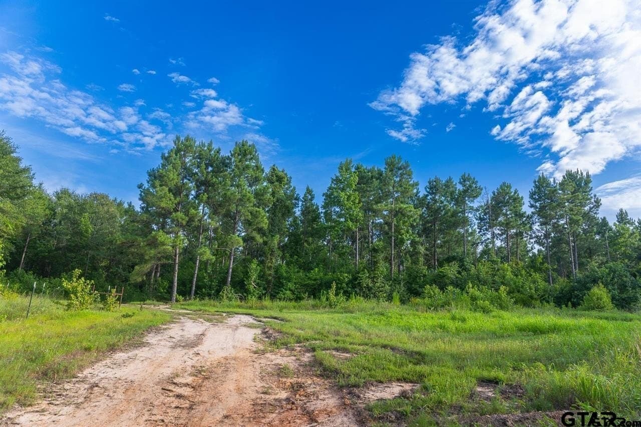 52.58 acres in Wood County - photo 34