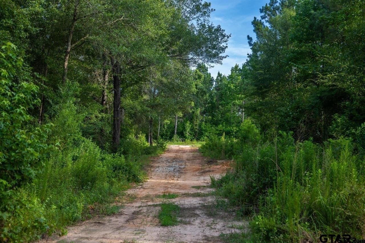 52.58 acres in Wood County - photo 36
