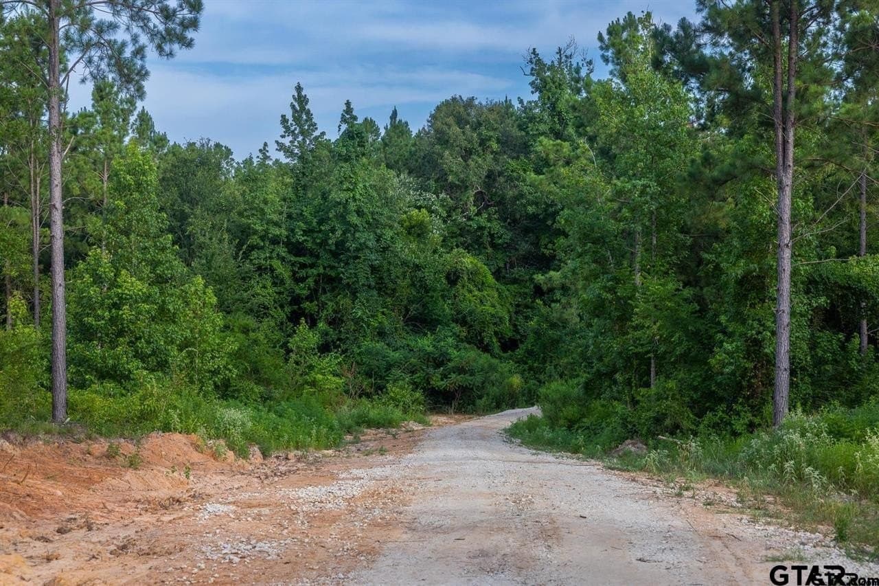 52.58 acres in Wood County - photo 33