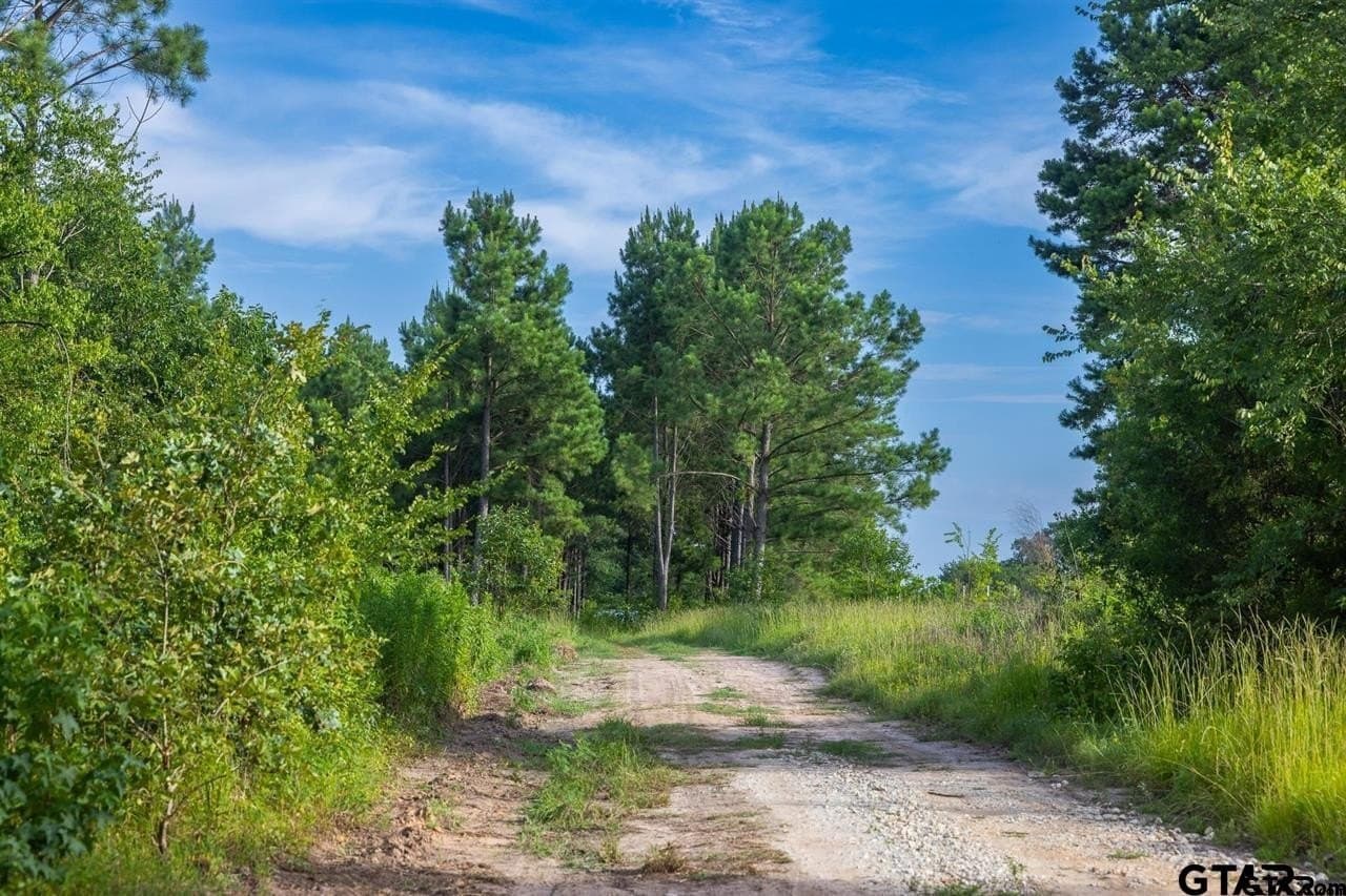 52.58 acres in Wood County - photo 35