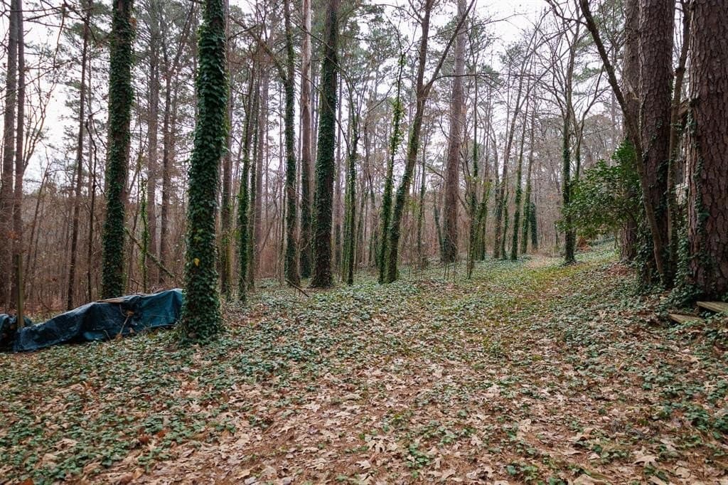 25 acres in Smith County - photo 6