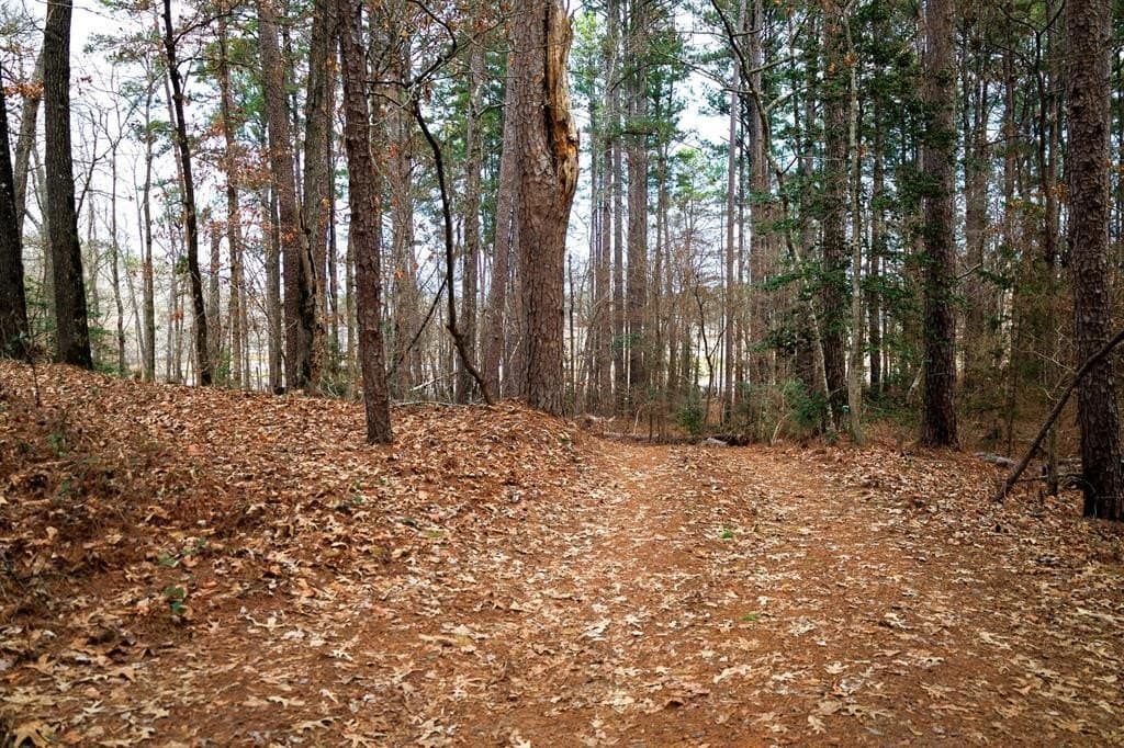 25 acres in Smith County - photo 40