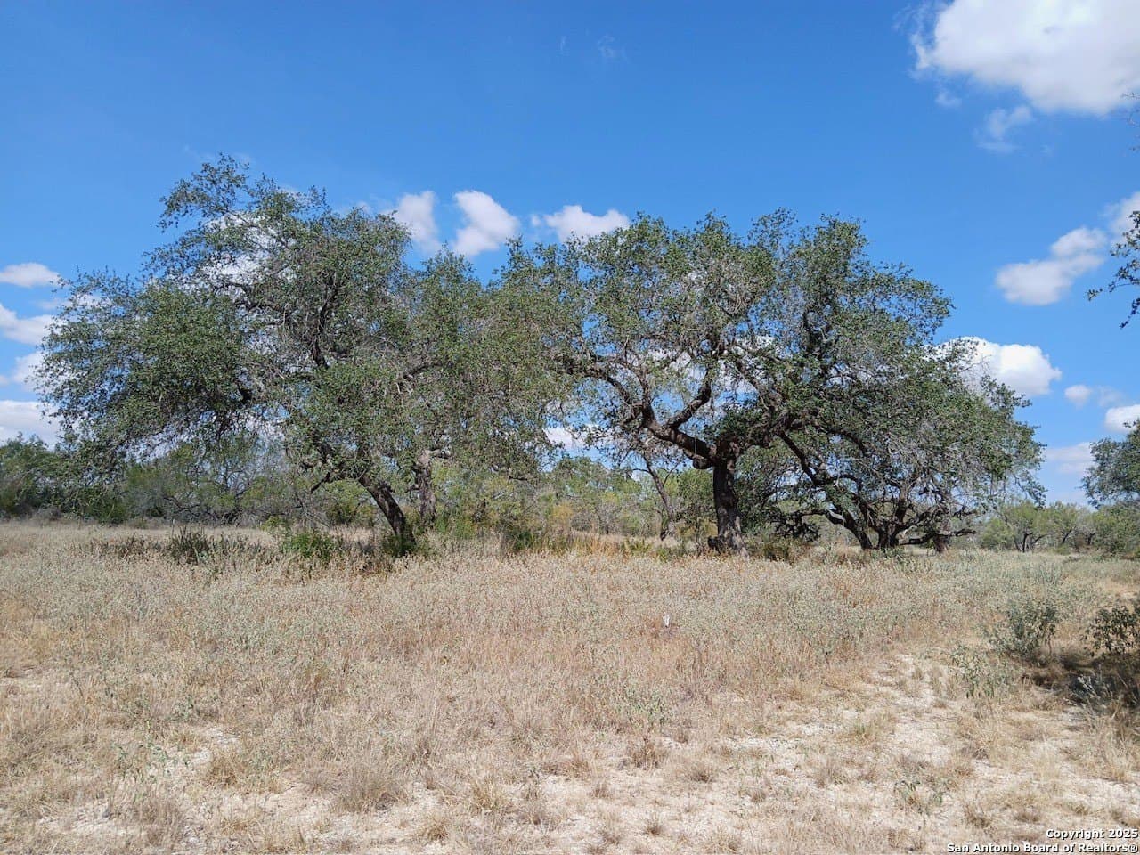 11.23 acres in Frio County - photo 2