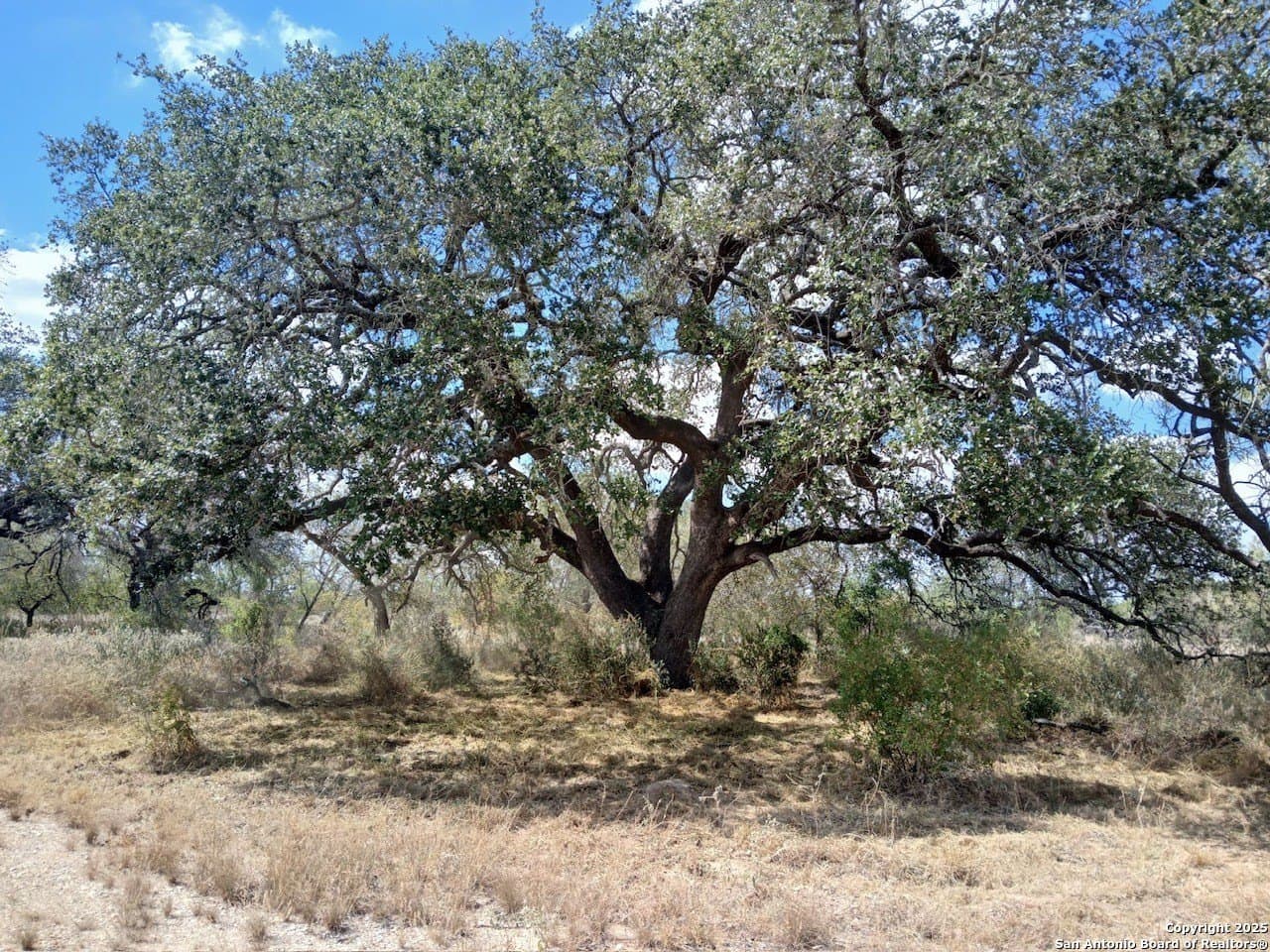 11.23 acres in Frio County - photo 5