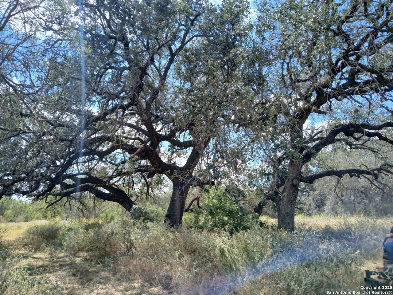 11.23 acres in Frio County - photo 3