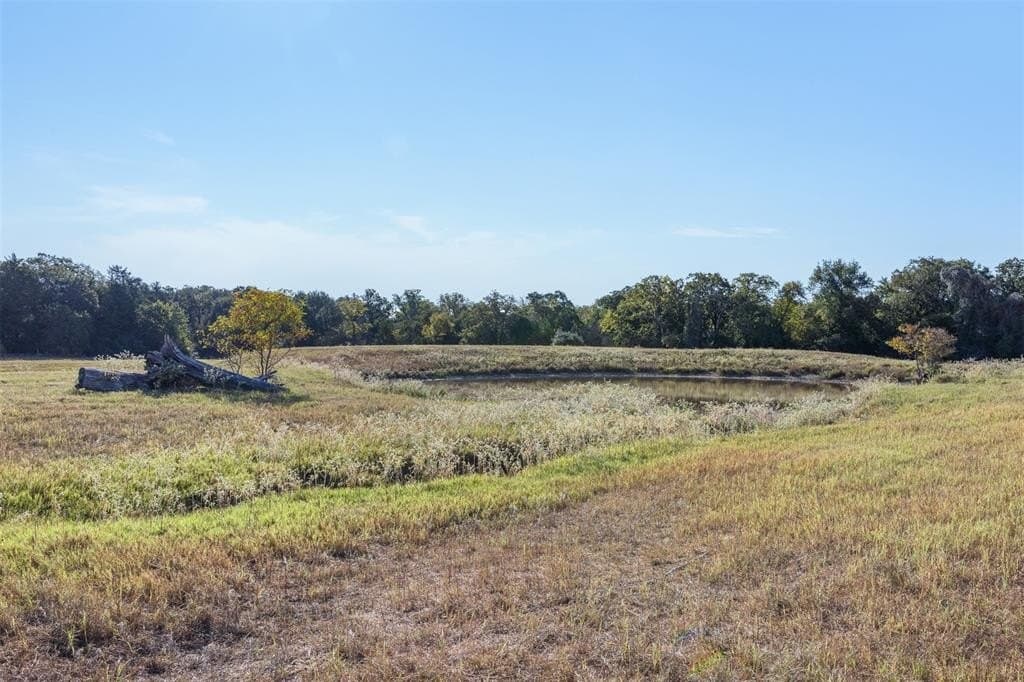 325 acres in Limestone County - photo 9