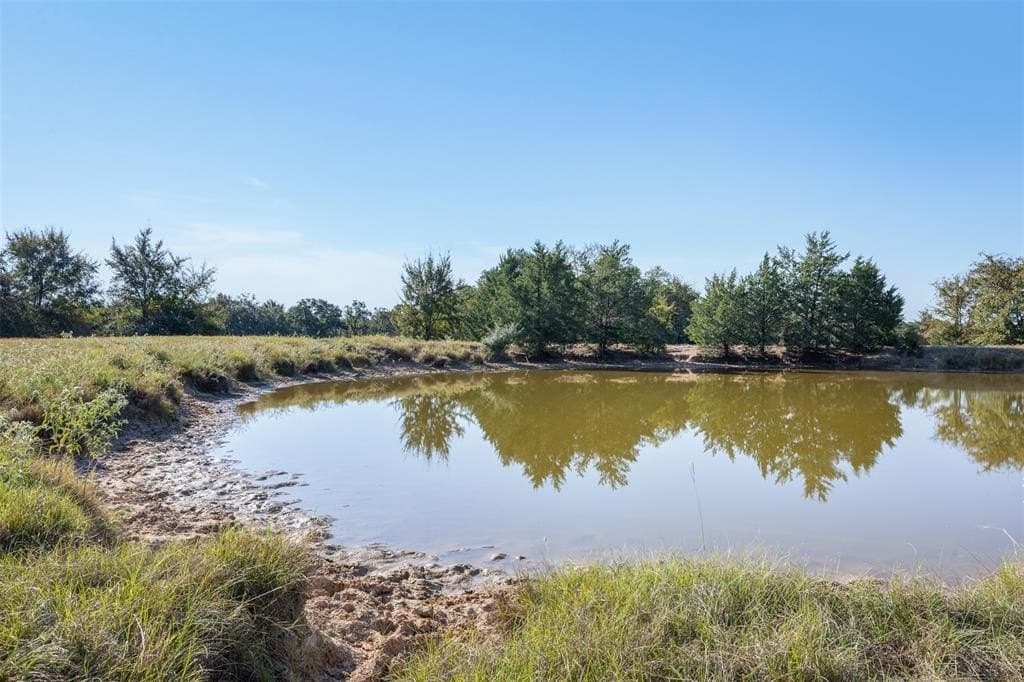 325 acres in Limestone County - photo 11
