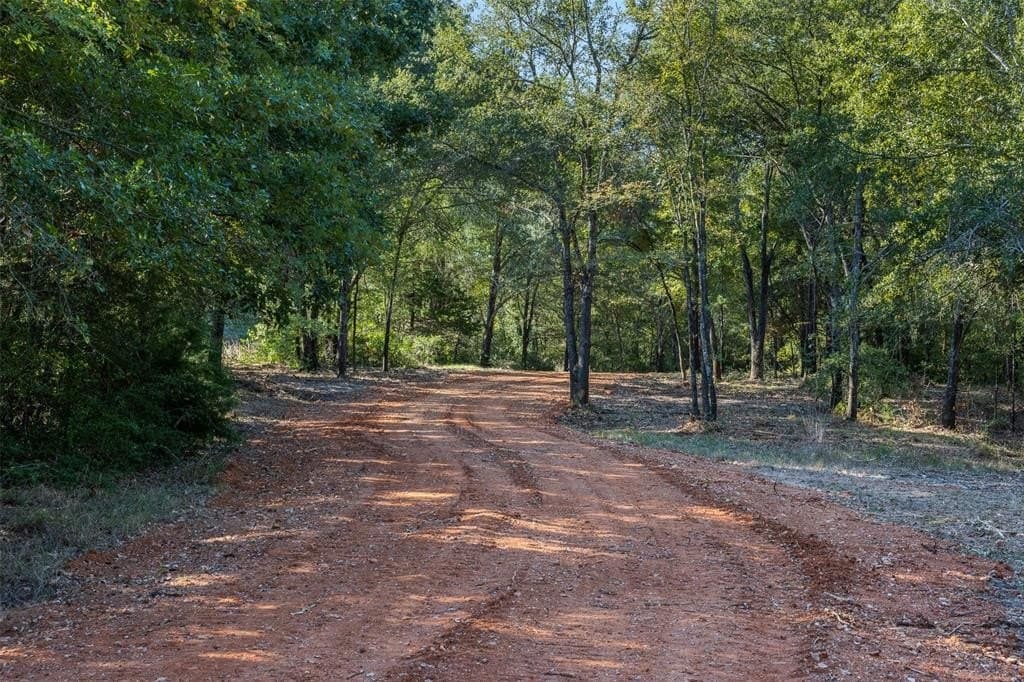 325 acres in Limestone County - photo 12