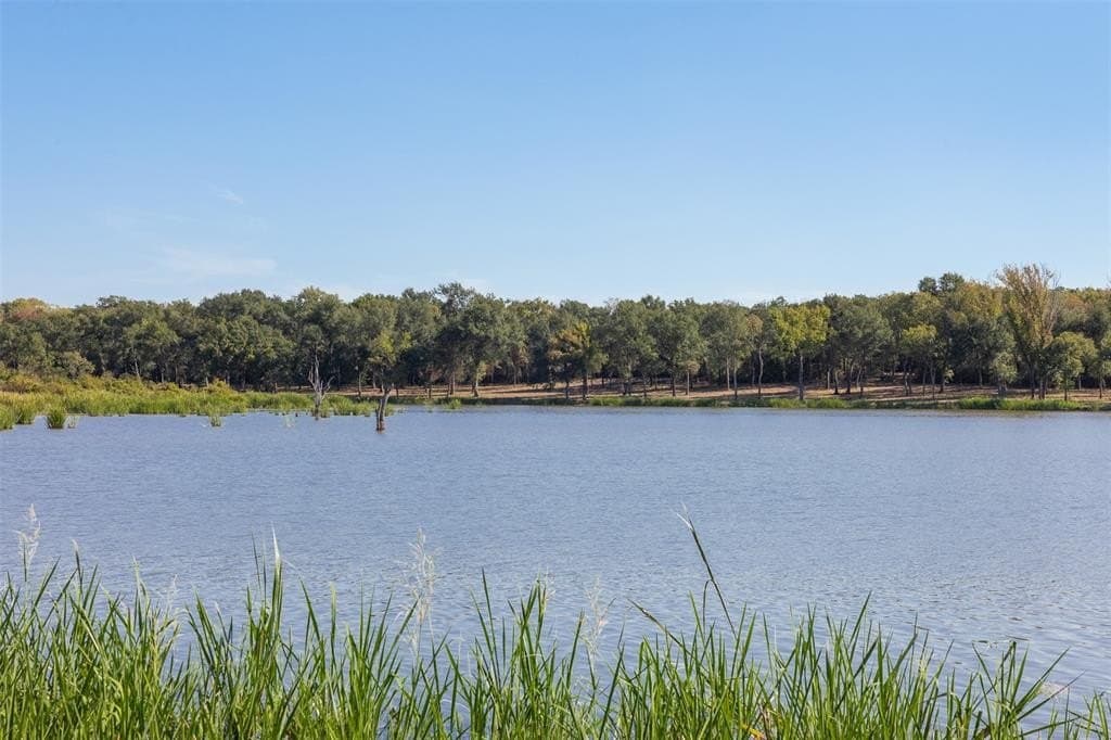 325 acres in Limestone County - photo 16