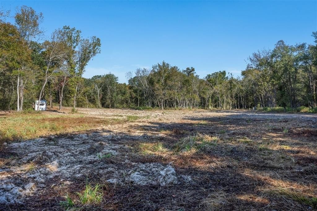 325 acres in Limestone County - photo 13