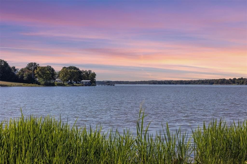 325 acres in Limestone County - photo 6