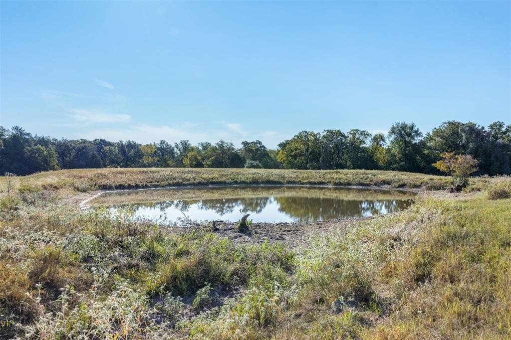 325 acres in Limestone County - photo 10