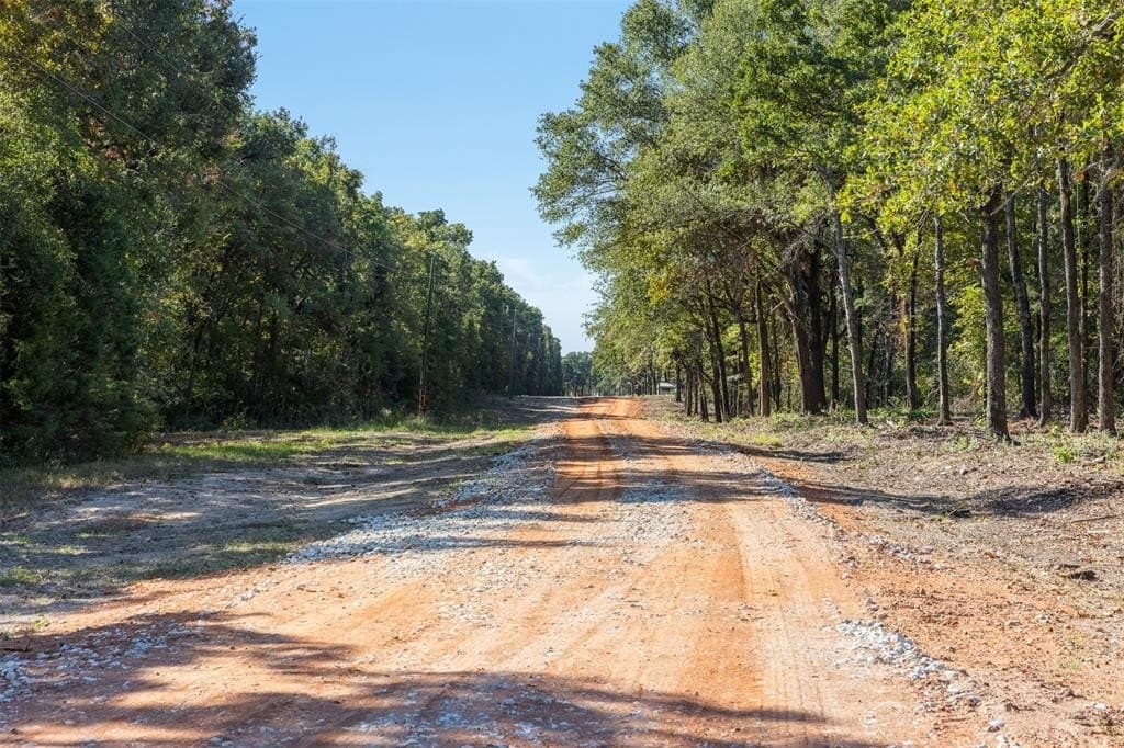 325 acres in Limestone County - photo 14