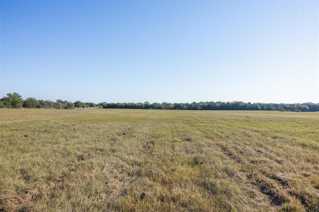 325 acres in Limestone County - photo 7