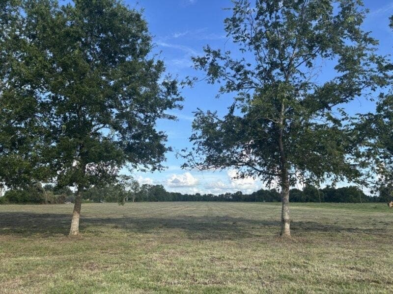 0 Old Van Vleck Rd Tract 1