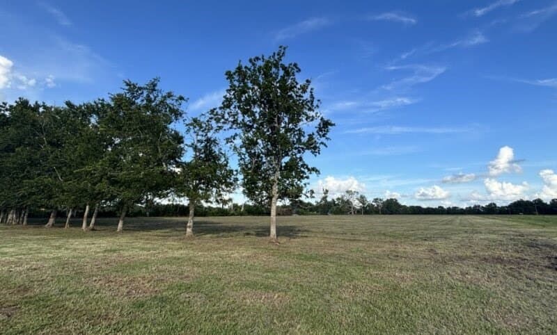 10.98 acres in Texas County - photo 5