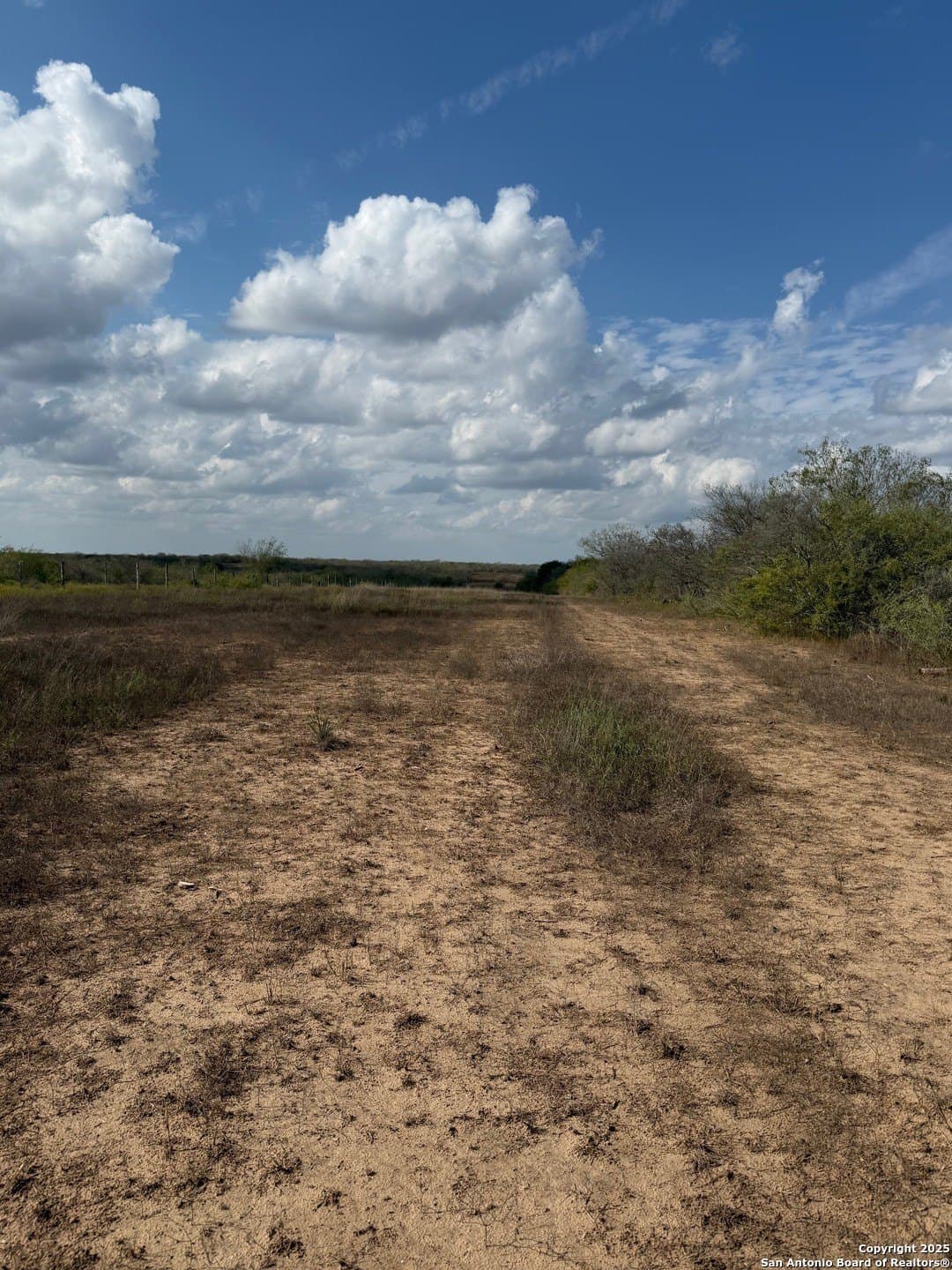 108.19 acres in De Witt County - photo 13