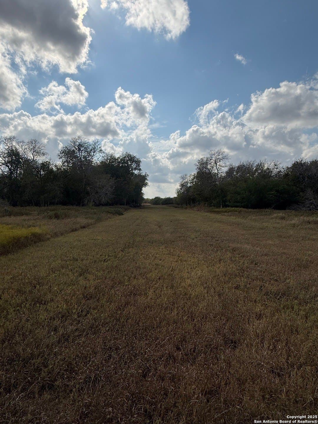 108.19 acres in De Witt County - photo 11