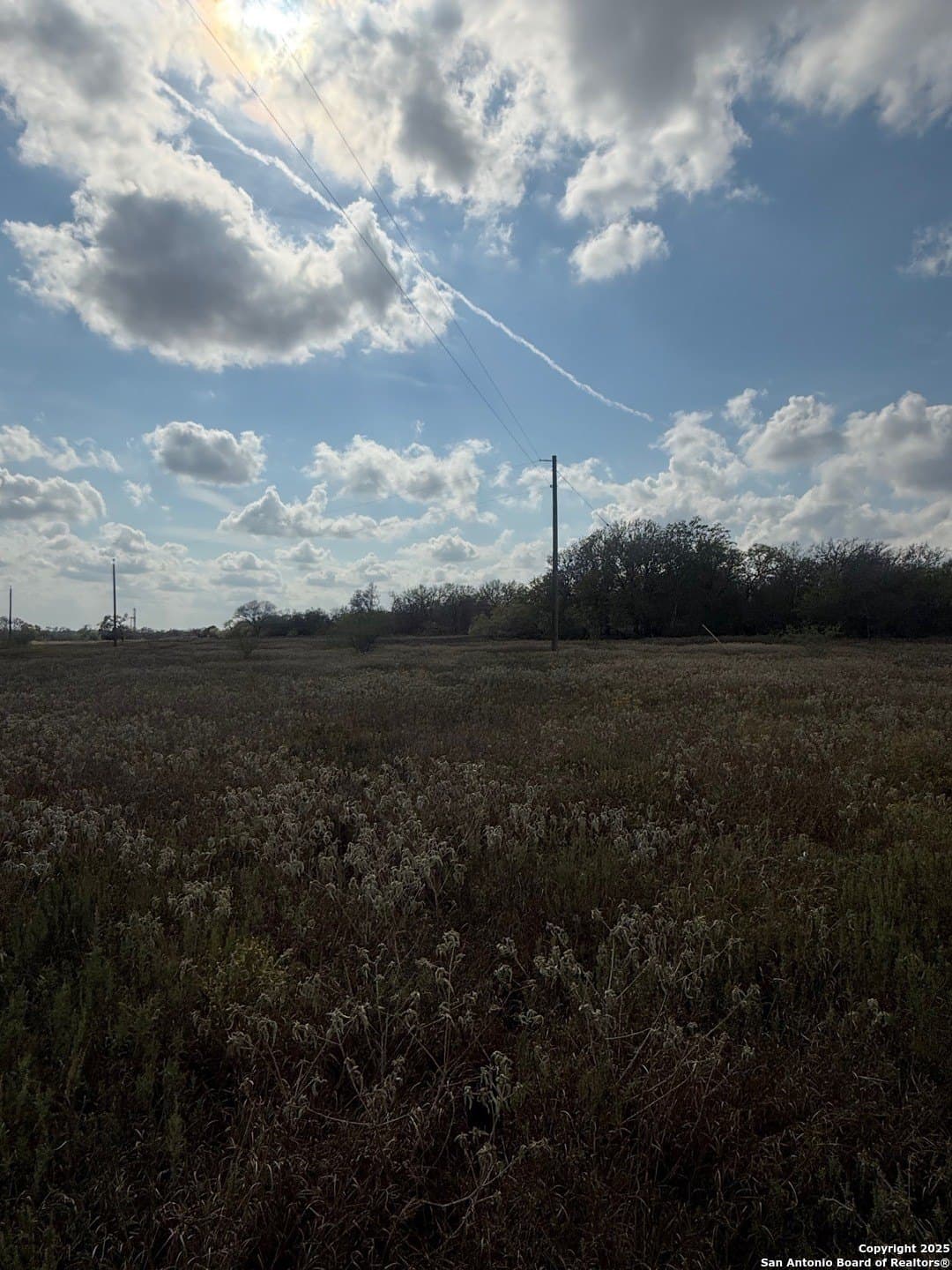 108.19 acres in De Witt County - photo 3